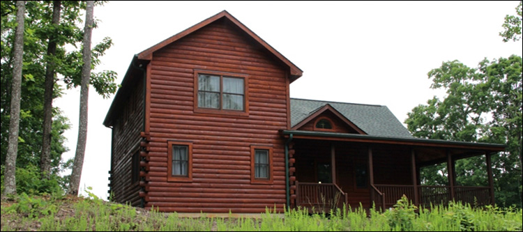 Professional Log Home Borate Application  Murray County, Georgia
